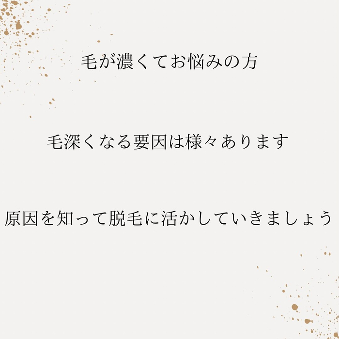画像433
