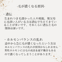 画像434
