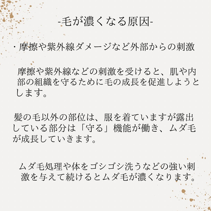 画像437
