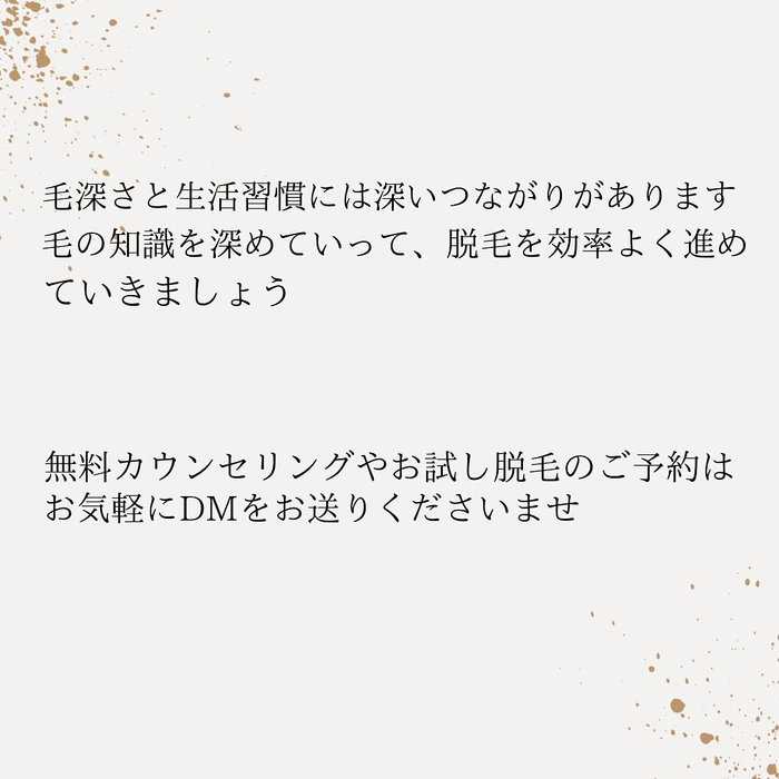 画像439